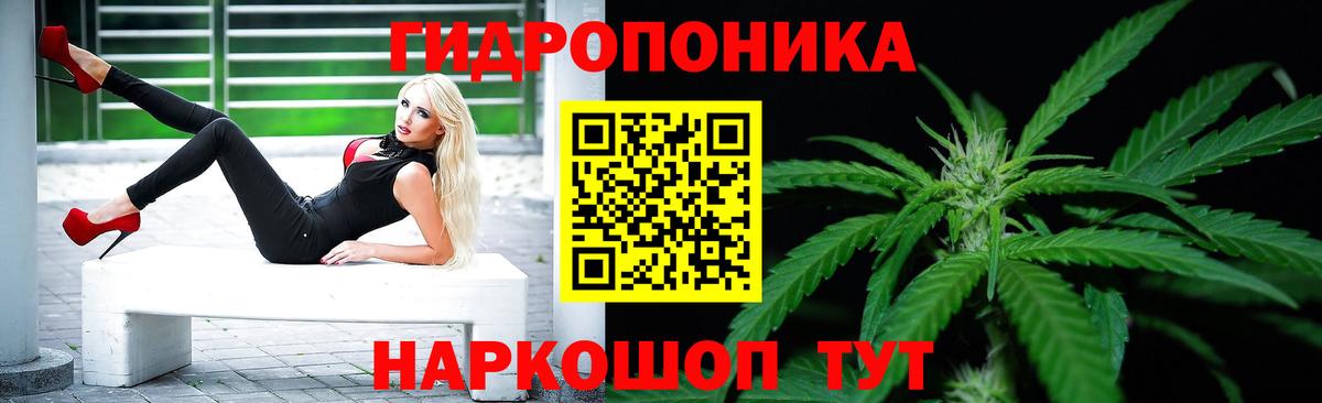 Шишки марихуана планчик  Канабис Ganja  Каннабис сатива  Бошки Шишки конопля  Вход с VPN  Ялуторовск 